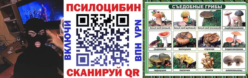Псилоцибиновые грибы Cubensis  купить наркотик  Камышлов 
