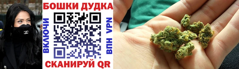 закладка  Камышлов  mega как зайти  Бошки марихуана MAZAR 